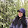 Kriller0788 Hha