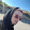 efee.mp4