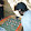 Mehdi_Yz