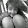 Savannah Dauphin