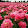 pretty dtt0902 lovely boymurphy