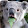 koala ortega