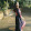 Madhuja Chatterjee