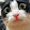 CAT BLACK
