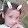 Thảo cute