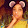 Talla Diop