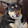 Zelda the dog Plays