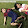 Funtime with Sofi and Xander