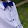 its.Patrik