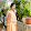 Thuỷ Tiên Trương