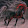 Dark _Horse