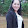 phan diep
