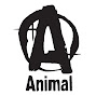Animal Pak Svg - 1149+ SVG File Cut Cricut
