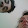 MimiChan!