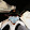 jack L