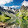 Jennifer Switzerland
