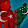 Ehlibeyt Asiqi