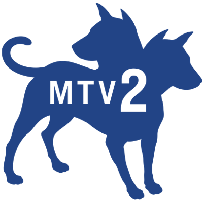 USA | MTV 2