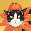 cat5