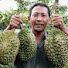 DITMeHx0-2o-channel-avatar-Santoso TRW