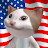 美國貓貓