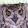 Mr Angry Owl