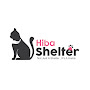 Hiba Shelter