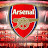 @goonerspulse2025