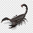 Skorpion 1979