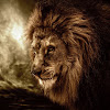 Lion L