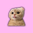 Tu9V_u6IM6M-channel-avatar-TikTok Spree