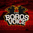 jLhj7iPSdV8-channel-avatar-The Boros Voice Podcast and Bonkers For Boro with Phil Spencer