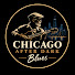 4hjrOPUpM-8-channel-avatar-Chicago After Dark Blues