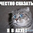 jdushii POVOD