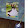 Big Chungus