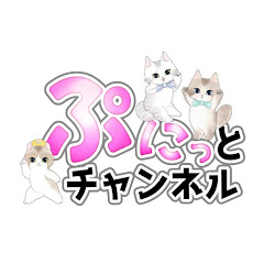 ぷにっとチャンネル@猫ちゃんライブ配信