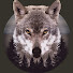 Lone Wolf
