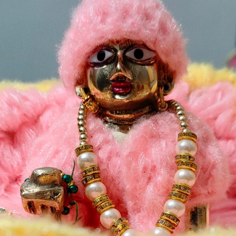 ladugopal Ji ki videos 🙏🙏