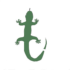 もりりん(イザナギ教