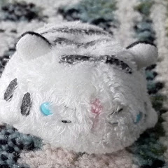 ティグレ ブランコ