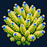 LpgSKYwNx_M-channel-avatar-Treasure Corals