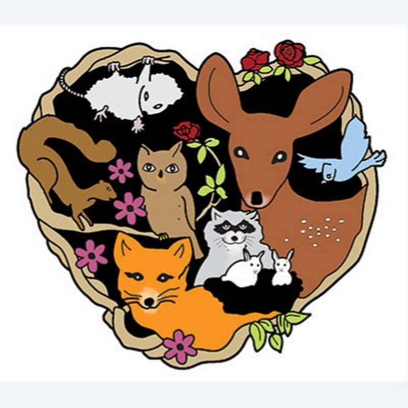 Harmony Wildlife Rehabilitation Center profile avatar