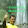muhaimin satria