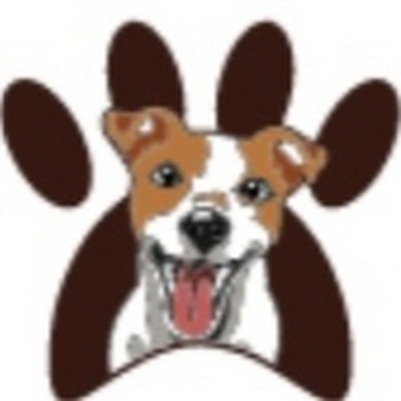 Doginsider