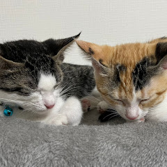 べーやん