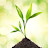 youtube avatar