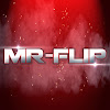 MR-FLIP 556