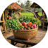 K2-TXUp8NNE-channel-avatar-Local Market Life