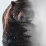 Андрей Б