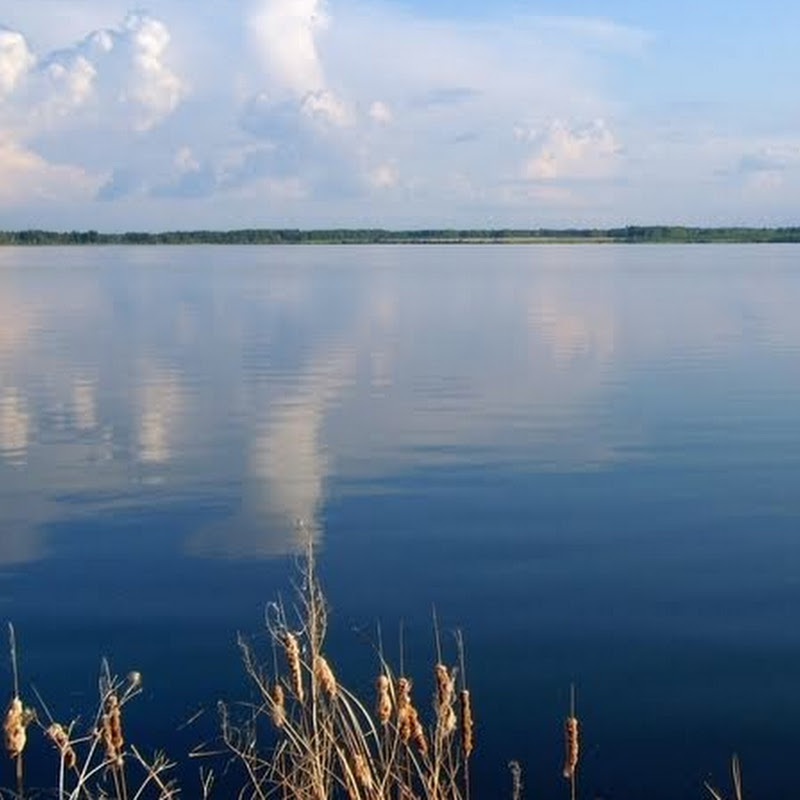 Озеро айдыкуль челябинская. Тишки озеро Челябинская. Озеро калды Челябинская область. Айдыкуль. Синара озеро Челябинская.